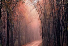 乐鱼app-灰熊绝地反击篮网，威斯布鲁克制霸全场——NBA巅峰对决的非凡瞬间