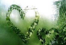 乐鱼-Vitality爆冷C9，Keria爆发神勇——最惊心动魄的赛场瞬间全解析